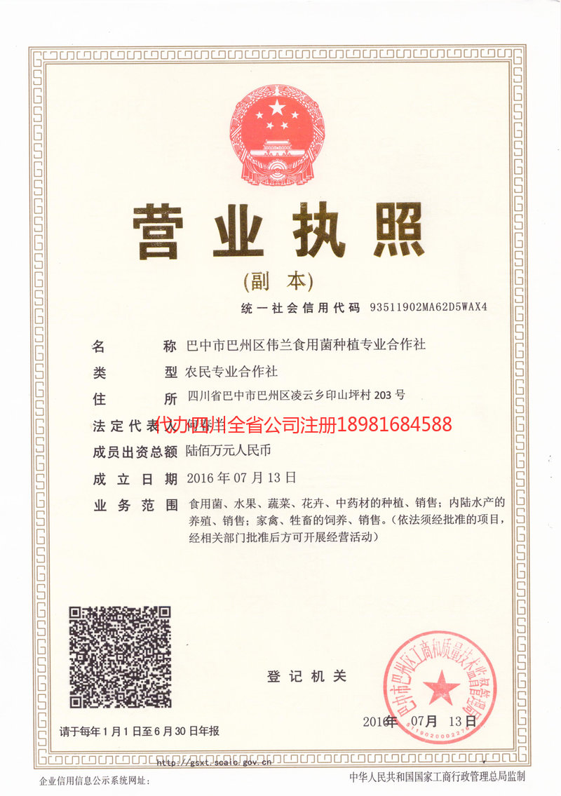 晋州晋州伟兰食用菌种植专业合作社